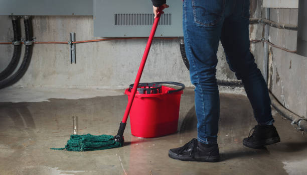 Best Sewage cleanup and water damage restoration  in Kewanee, IL