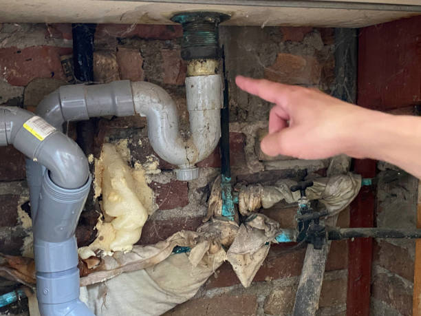 Best Sewage cleanup and water damage restoration  in Kewanee, IL
